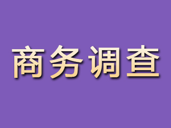 尚义商务调查